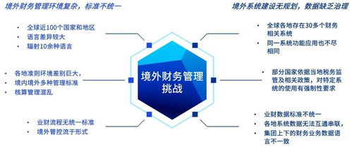 畢馬威引領企業全球化 海外財務共享落地實踐與財務咨詢服務洞察